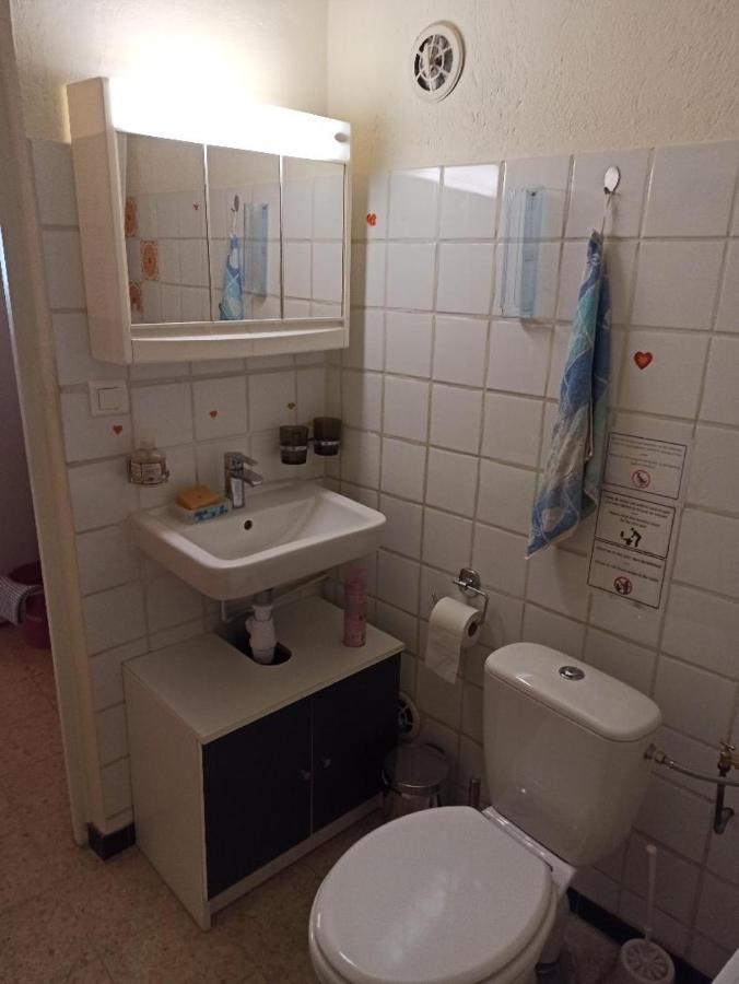 Chalet Typique Au Coeur De La Petite Camargue Villa Vauvert Eksteriør bilde